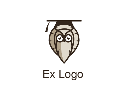 owl wearing scholar hat