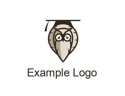 owl wearing scholar hat