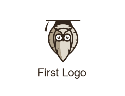 owl wearing scholar hat