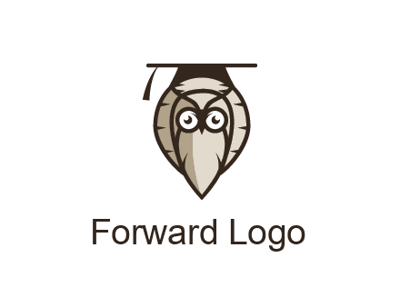 owl wearing scholar hat