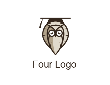 owl wearing scholar hat