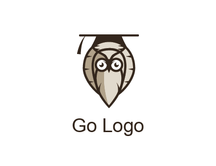 owl wearing scholar hat