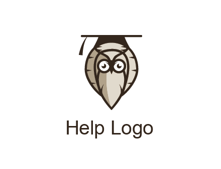 owl wearing scholar hat