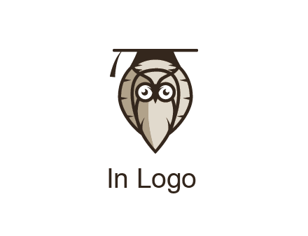 owl wearing scholar hat