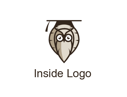 owl wearing scholar hat