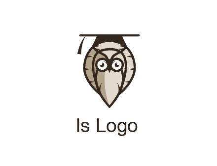 owl wearing scholar hat