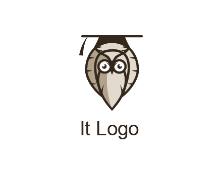 owl wearing scholar hat