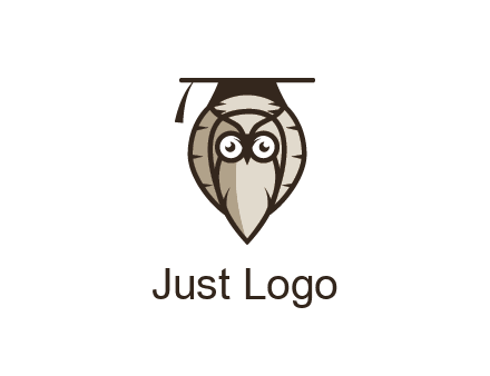 owl wearing scholar hat