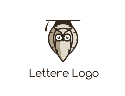 owl wearing scholar hat