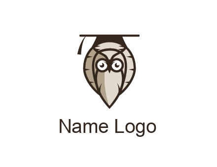 owl wearing scholar hat