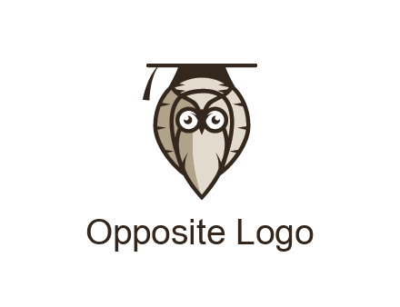 owl wearing scholar hat