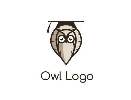 owl wearing scholar hat