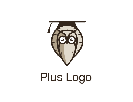 owl wearing scholar hat