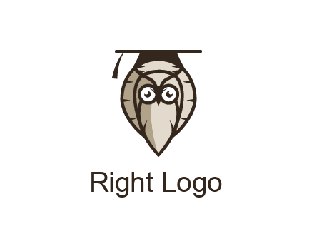 owl wearing scholar hat