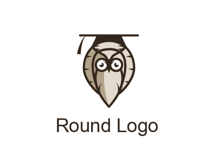owl wearing scholar hat