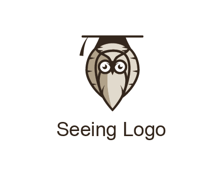 owl wearing scholar hat