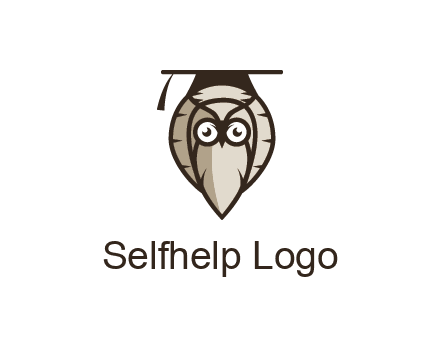 owl wearing scholar hat