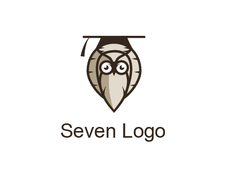 owl wearing scholar hat