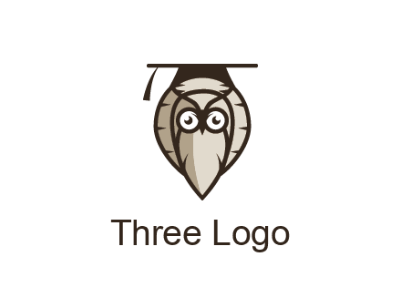 owl wearing scholar hat