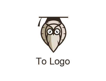 owl wearing scholar hat