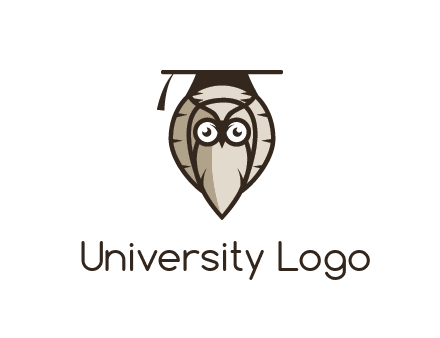 owl wearing scholar hat