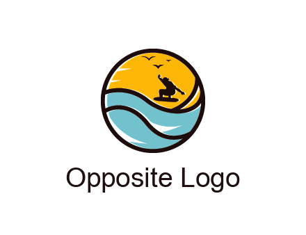 surfer surfing with birds in circle