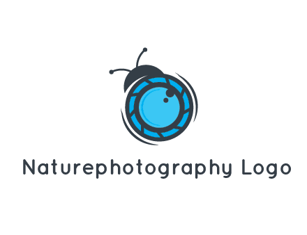 camera lens in bug