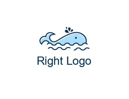 cute whale in ocean