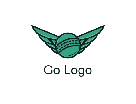 cricket ball with wings