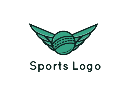 cricket ball with wings
