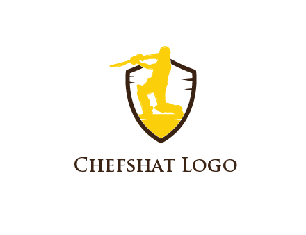 shield behind batsman