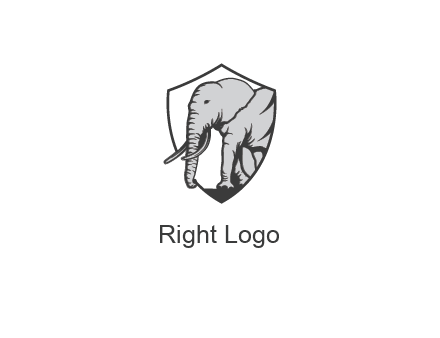 elephant in shield