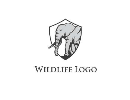 elephant in shield