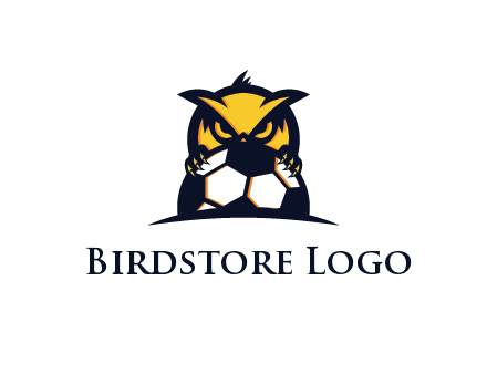 owl holding football from behind