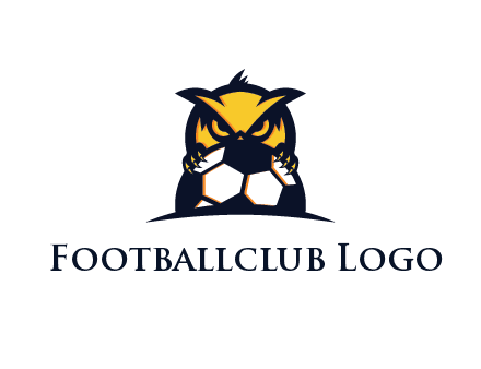 owl holding football from behind