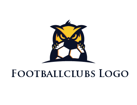 owl holding football from behind