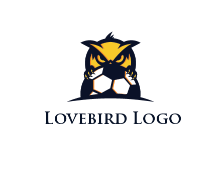 owl holding football from behind