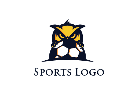 owl holding football from behind