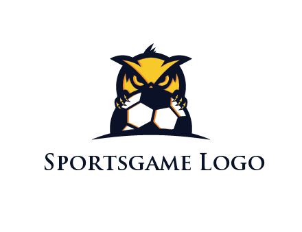 owl holding football from behind