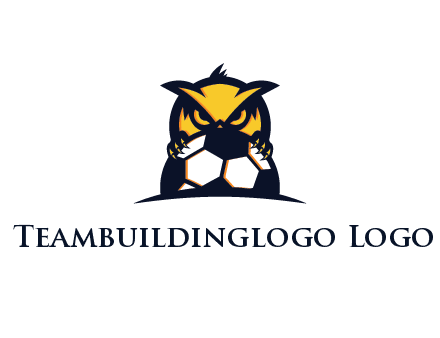 owl holding football from behind