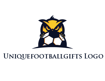 owl holding football from behind