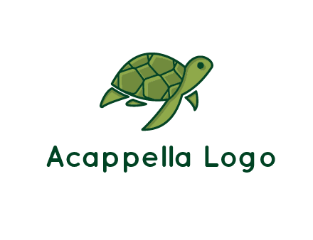 abstract baby turtle