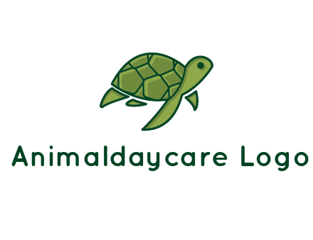 abstract baby turtle