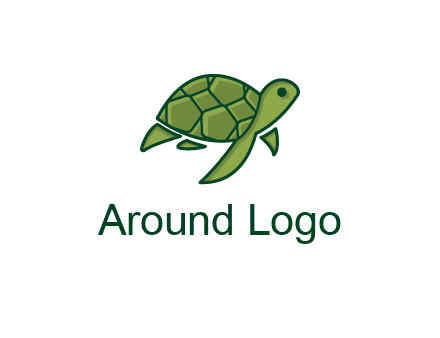 abstract baby turtle
