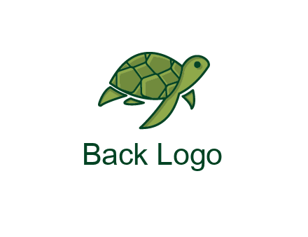 abstract baby turtle