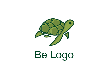 abstract baby turtle