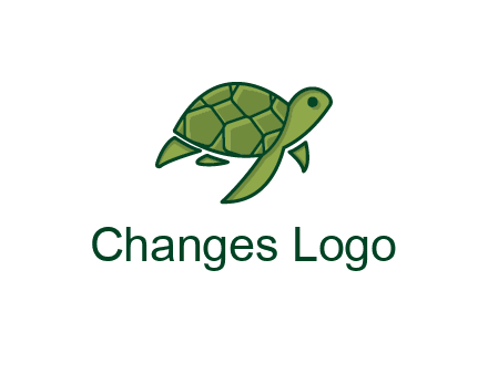 abstract baby turtle