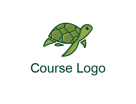 abstract baby turtle