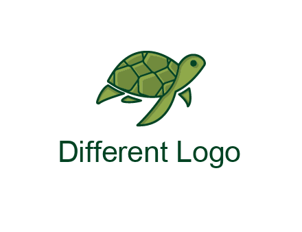 abstract baby turtle