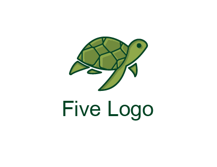 abstract baby turtle